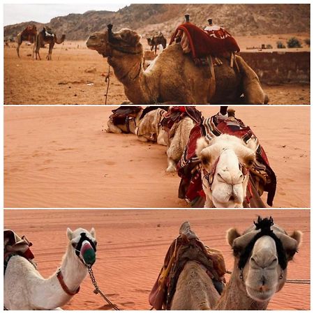 Wadi Rum Rozana Camp Eksteriør billede